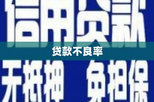 布拖贷款不良率