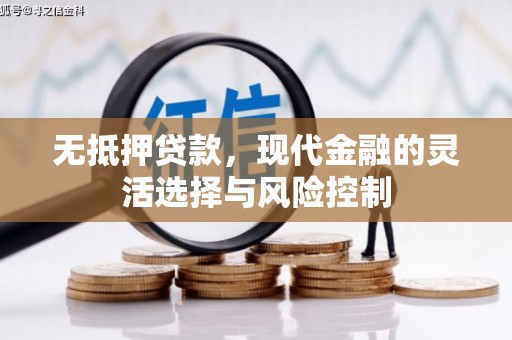布拖无抵押贷款，现代金融的灵活选择与风险控制
