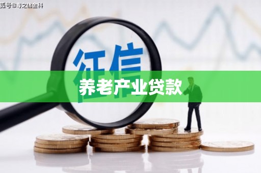 布拖养老产业贷款