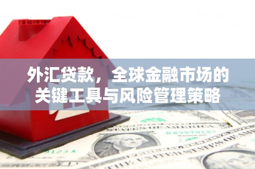 布拖外汇贷款，全球金融市场的关键工具与风险管理策略