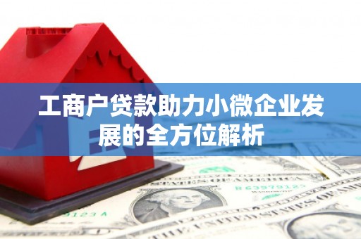 布拖工商户贷款助力小微企业发展的全方位解析