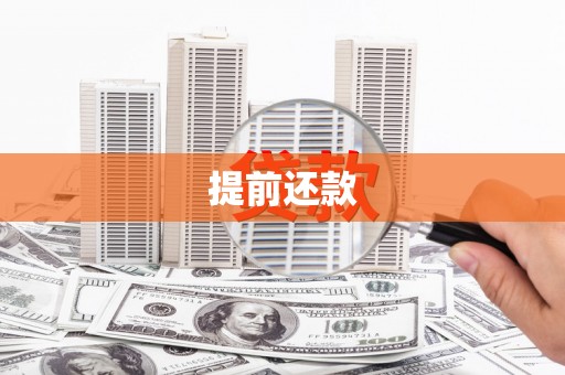 布拖提前还款