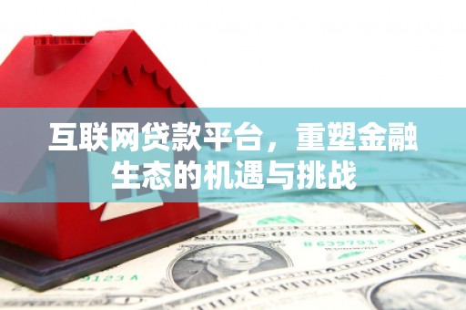 布拖互联网贷款平台，重塑金融生态的机遇与挑战