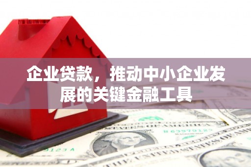 布拖企业贷款，推动中小企业发展的关键金融工具