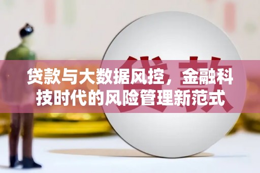 布拖贷款与大数据风控，金融科技时代的风险管理新范式