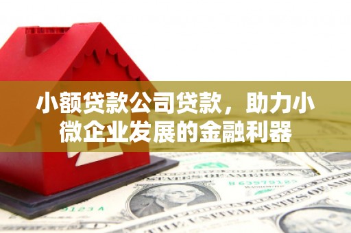 布拖小额贷款公司贷款，助力小微企业发展的金融利器