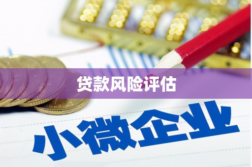 布拖贷款风险评估