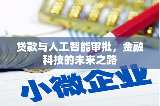布拖贷款与人工智能审批，金融科技的未来之路
