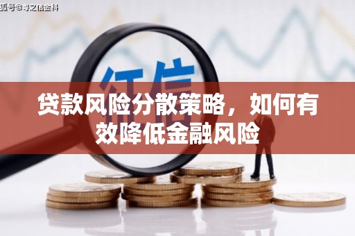 布拖贷款风险分散策略，如何有效降低金融风险