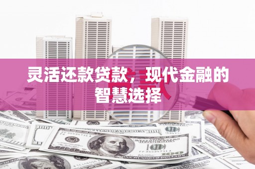 布拖灵活还款贷款，现代金融的智慧选择