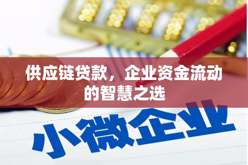 布拖供应链贷款，企业资金流动的智慧之选