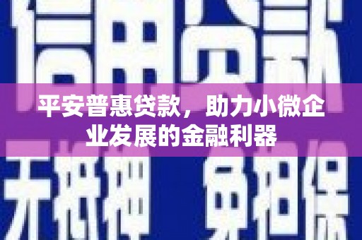 布拖平安普惠贷款，助力小微企业发展的金融利器