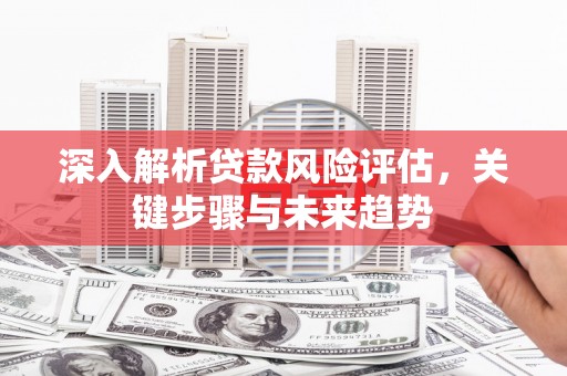 布拖深入解析贷款风险评估，关键步骤与未来趋势