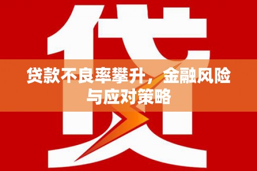布拖贷款不良率攀升，金融风险与应对策略