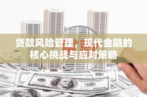 布拖贷款风险管理，现代金融的核心挑战与应对策略