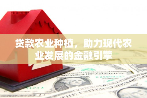 布拖贷款农业种植，助力现代农业发展的金融引擎