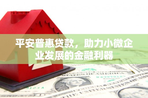 布拖平安普惠贷款，助力小微企业发展的金融利器