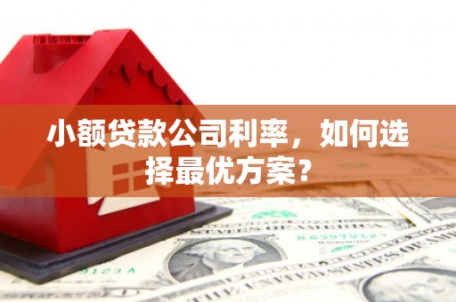 布拖小额贷款公司利率，如何选择最优方案？