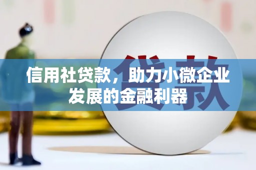 布拖信用社贷款，助力小微企业发展的金融利器