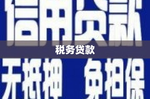 布拖税务贷款