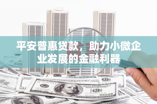 布拖平安普惠贷款，助力小微企业发展的金融利器