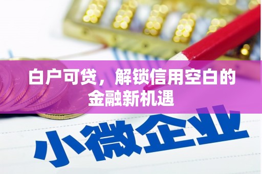 布拖白户可贷，解锁信用空白的金融新机遇