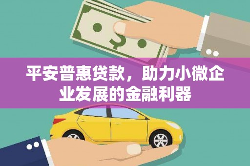 布拖平安普惠贷款，助力小微企业发展的金融利器