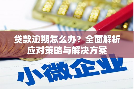 布拖贷款逾期怎么办？全面解析应对策略与解决方案