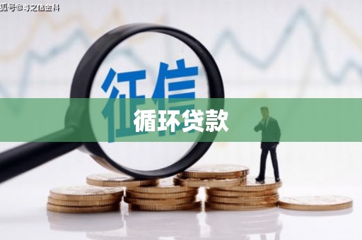 布拖循环贷款