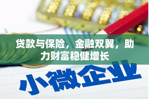 布拖贷款与保险，金融双翼，助力财富稳健增长