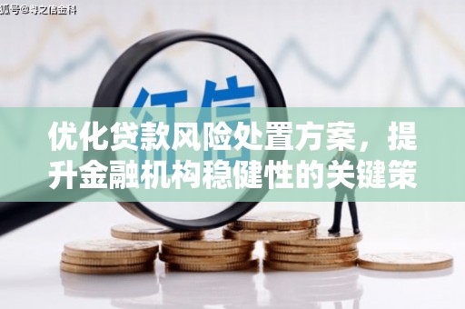 布拖优化贷款风险处置方案，提升金融机构稳健性的关键策略