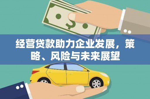 布拖经营贷款助力企业发展，策略、风险与未来展望