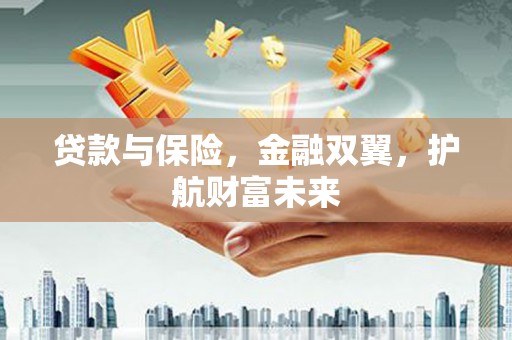 布拖贷款与保险，金融双翼，护航财富未来