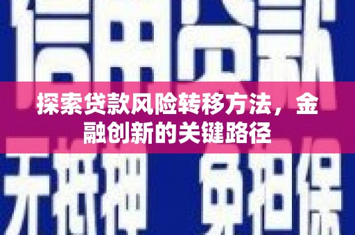 布拖探索贷款风险转移方法，金融创新的关键路径