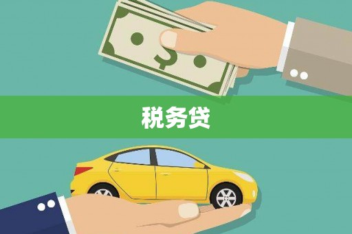 布拖税务贷
