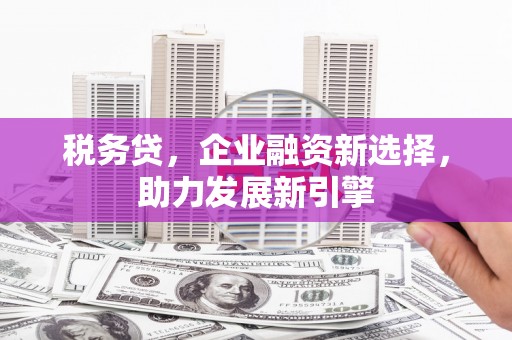 布拖税务贷，企业融资新选择，助力发展新引擎
