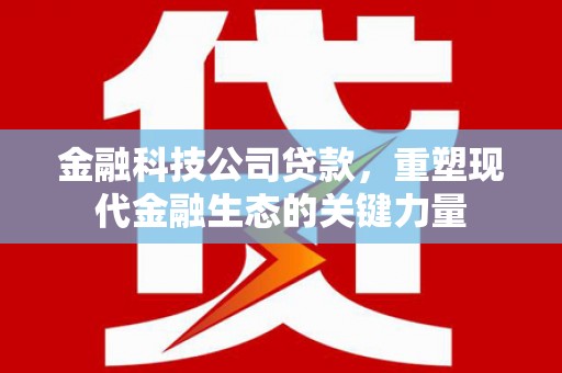 布拖金融科技公司贷款，重塑现代金融生态的关键力量
