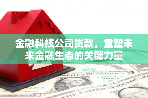 布拖金融科技公司贷款，重塑未来金融生态的关键力量