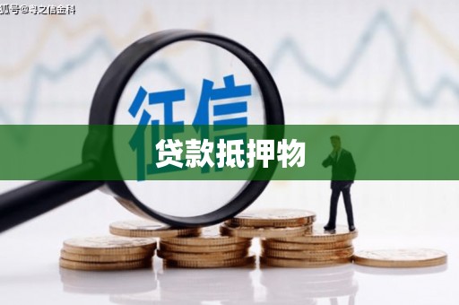 布拖贷款抵押物