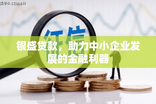 布拖银盛贷款，助力中小企业发展的金融利器