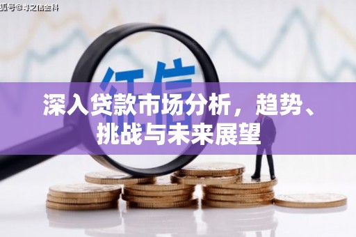布拖深入贷款市场分析，趋势、挑战与未来展望