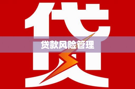 布拖贷款风险管理