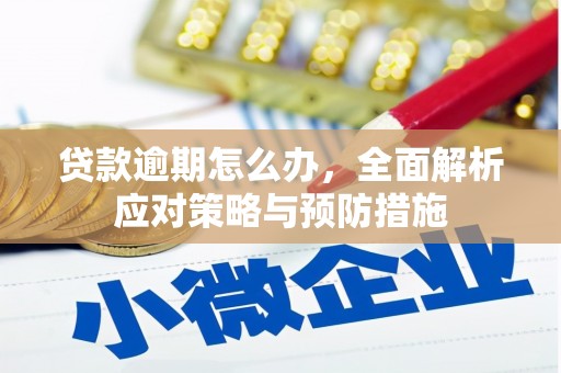 布拖贷款逾期怎么办，全面解析应对策略与预防措施