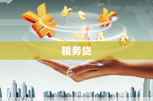 布拖税务贷