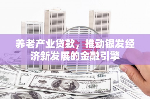 布拖养老产业贷款，推动银发经济新发展的金融引擎