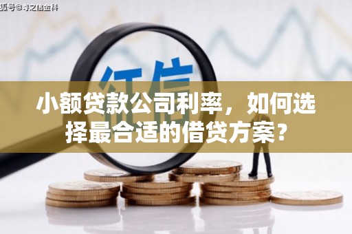 布拖小额贷款公司利率，如何选择最合适的借贷方案？