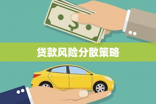 布拖贷款风险分散策略