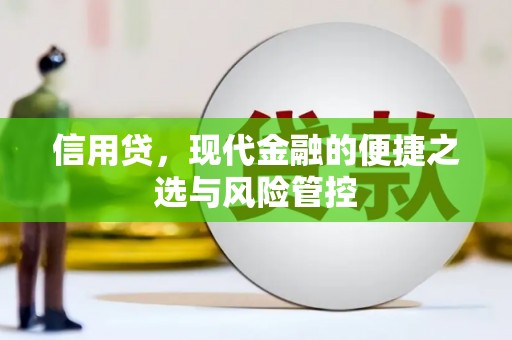 布拖信用贷，现代金融的便捷之选与风险管控