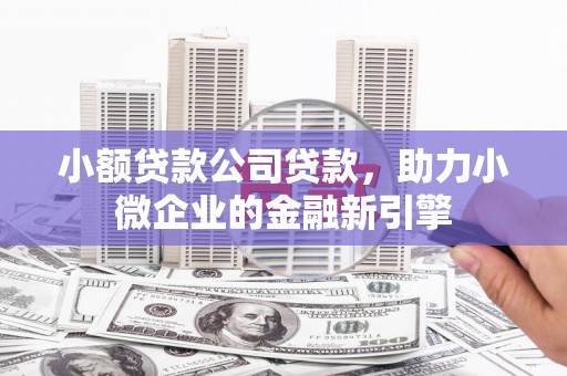 布拖小额贷款公司贷款，助力小微企业的金融新引擎