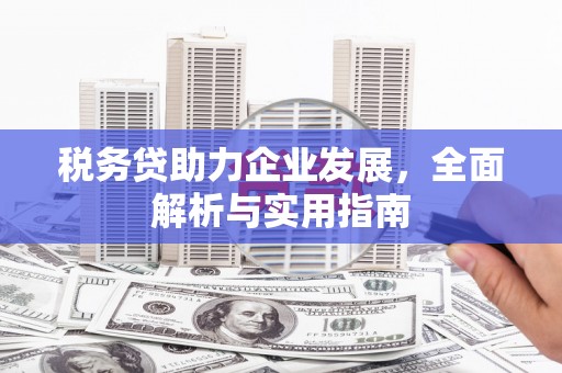 布拖税务贷助力企业发展，全面解析与实用指南
